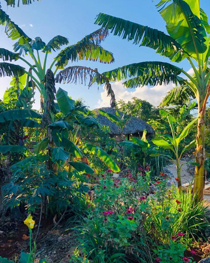 GuaiGüí Bayahibe Vila Exterior foto