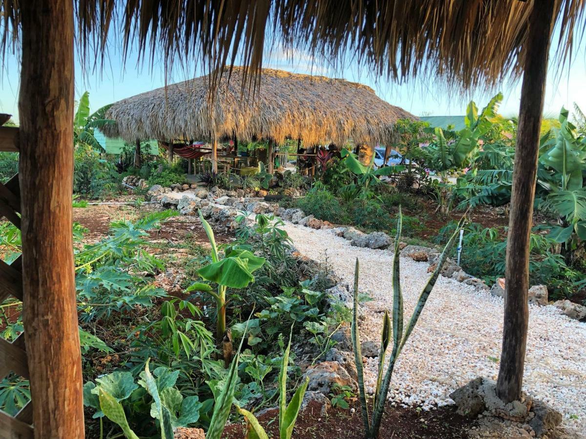 GuaiGüí Bayahibe Vila Exterior foto