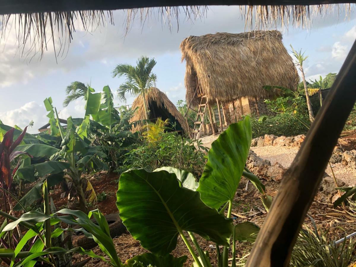 GuaiGüí Bayahibe Vila Exterior foto